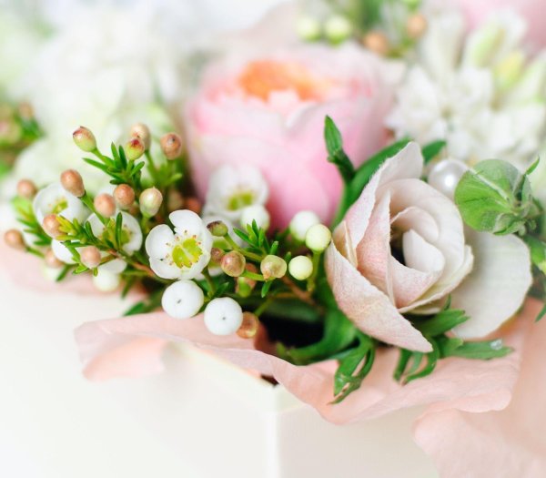 нежнейшие цветы