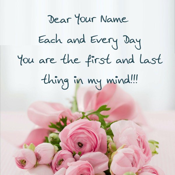 ранункулюс розовый