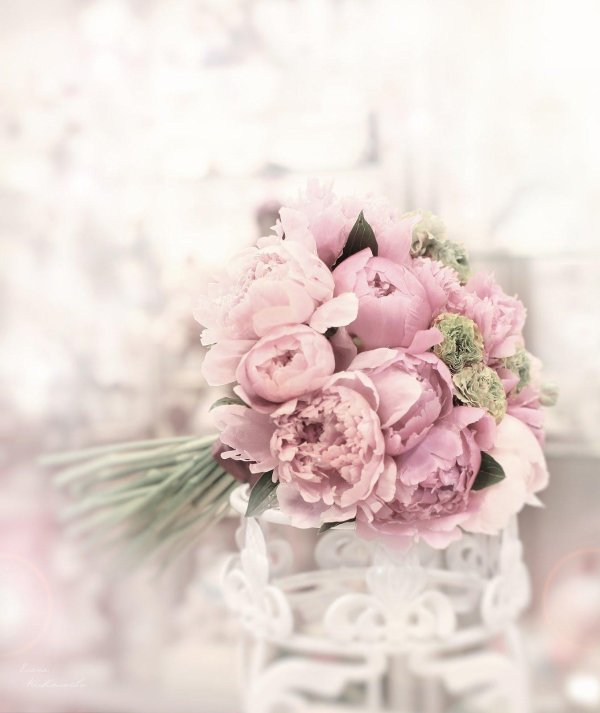 букет нежных пионов