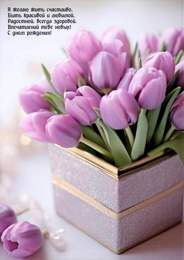 розовые тюльпаны