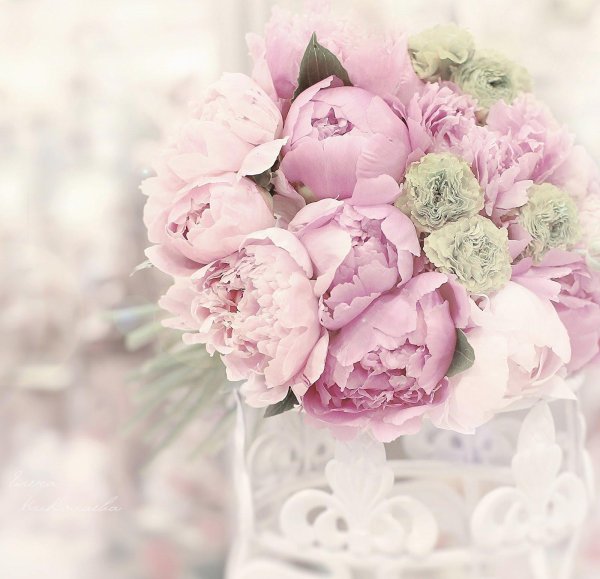 букет нежных пионов