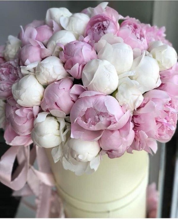 пионы в коробке