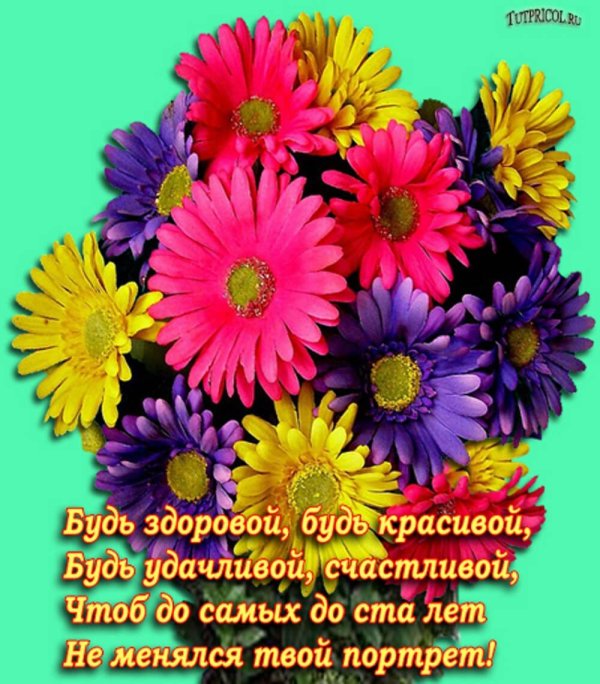 герберы открытка