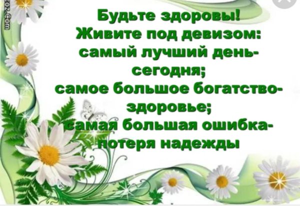 здоровое здоровье