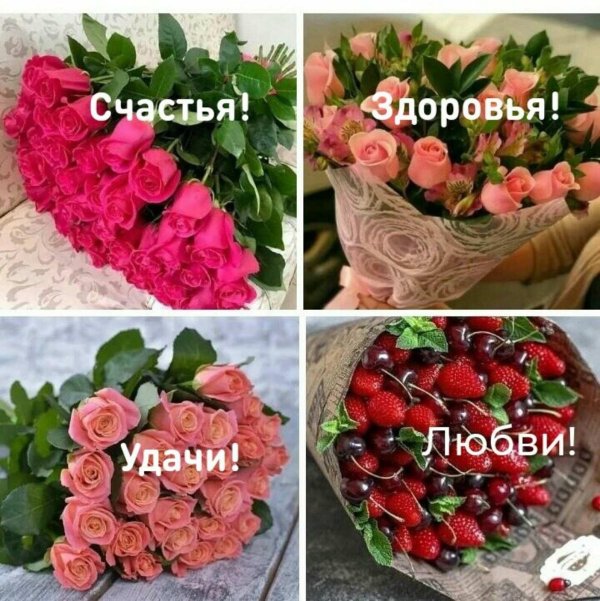 счастье здоровье