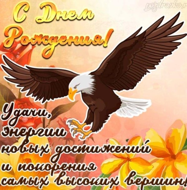 с днем рождения орел