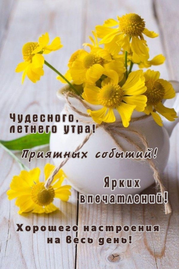 цветок желтый