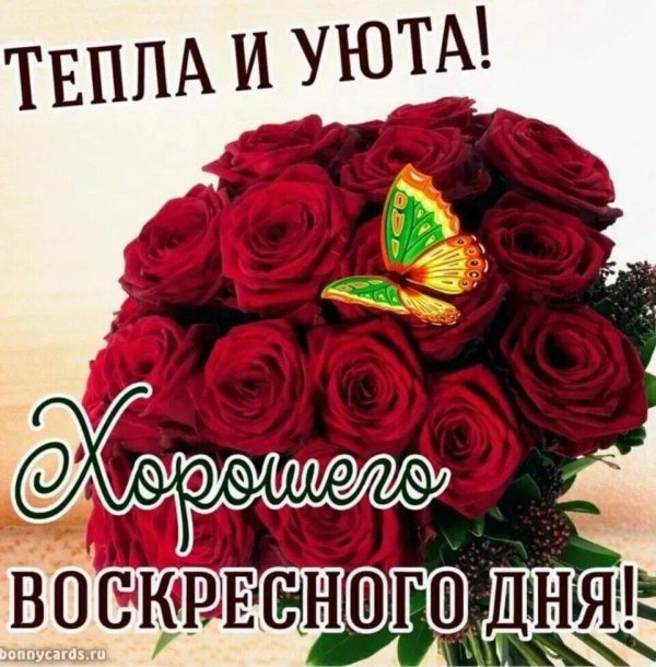 добрейшего воскресенья