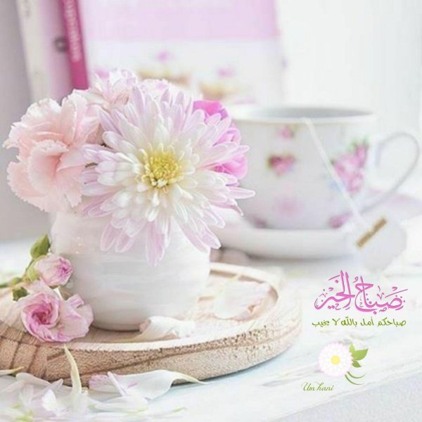 нежные летние цветы