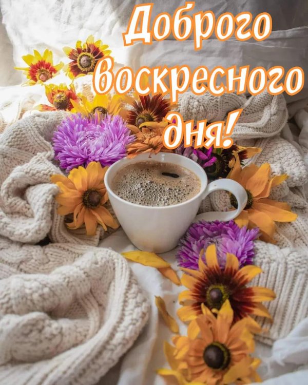 воскресного утра