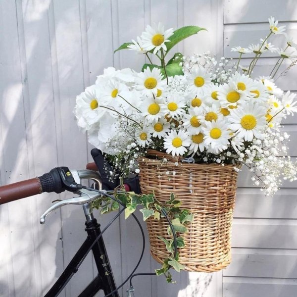 велосипед цветы