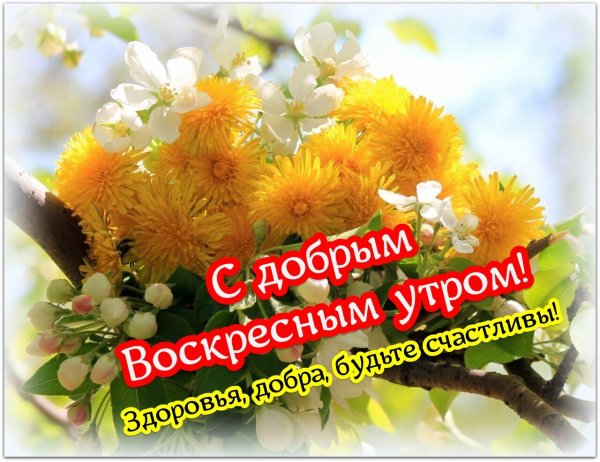 воскресного утра