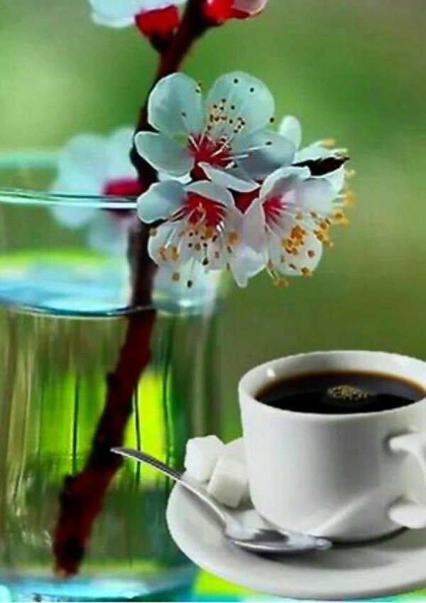 чашечка кофе