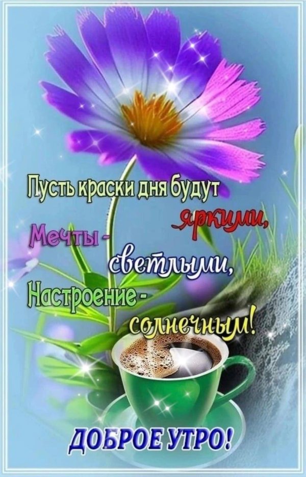 пусть утро