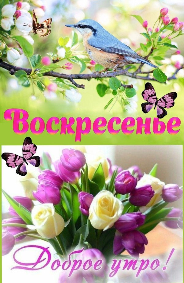 весеннего воскресенья