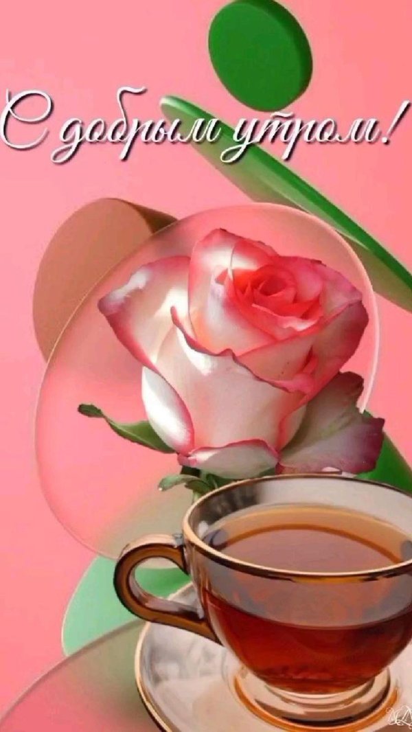 добра утра