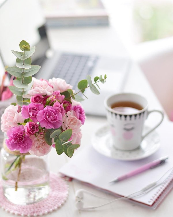 цветы утренние