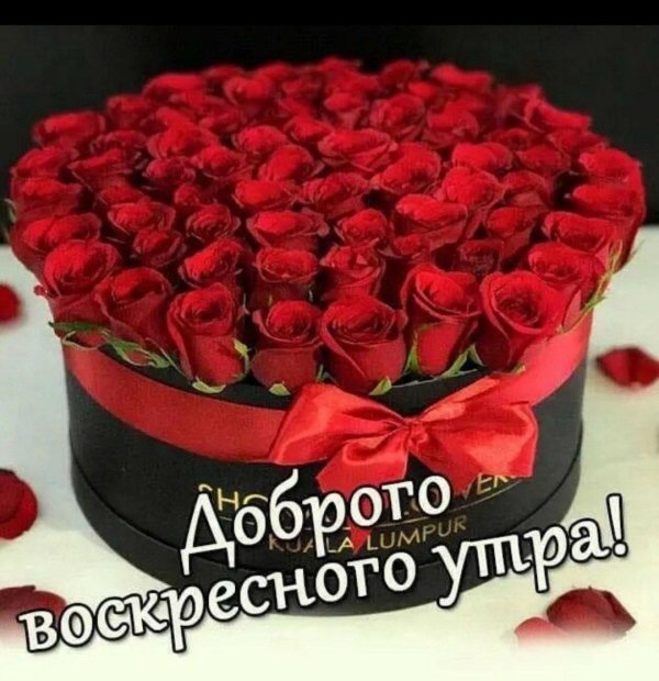 доброго утра воскресения