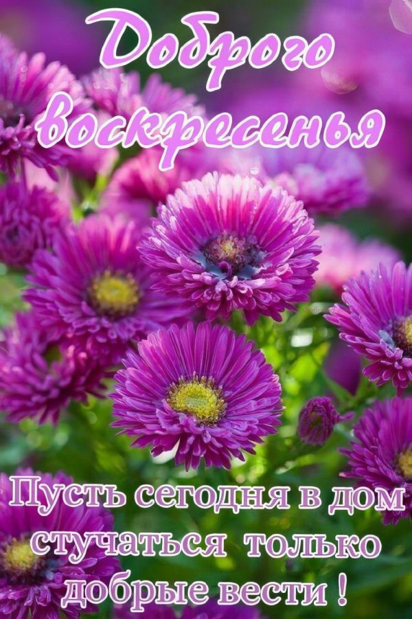 прекрасного воскресения