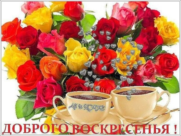 доброго воскресного дня