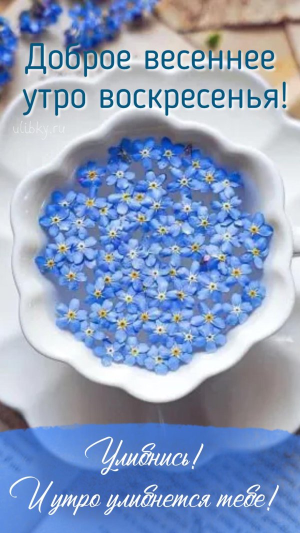 доброе утро весна