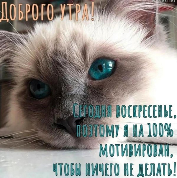 воскресенье доброе