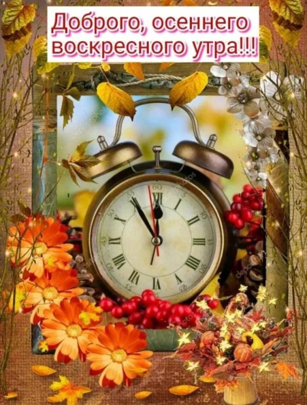доброго утра осени