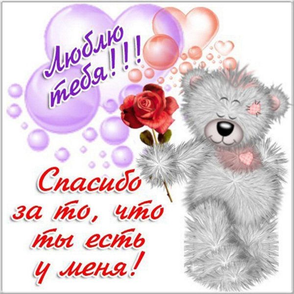 мишка тедди