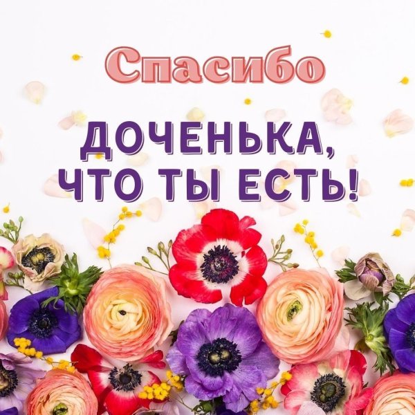 спасибо дочь