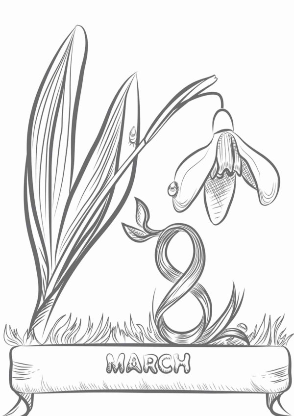 подснежник широколистный раскраска