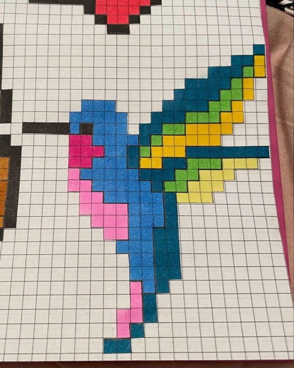 попугай по клеточкам