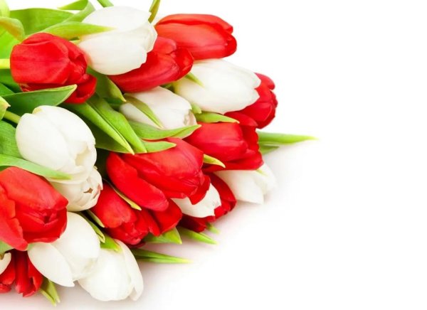 красивые букеты тюльпанов