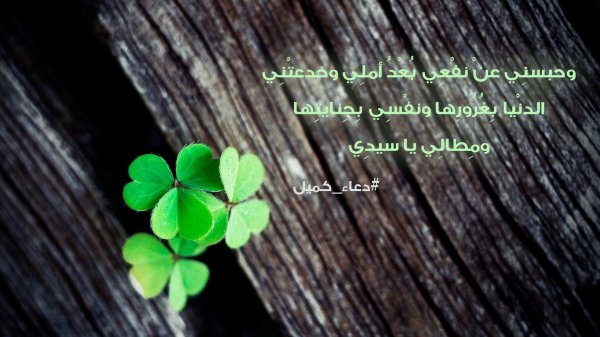 клевер четырехлистник