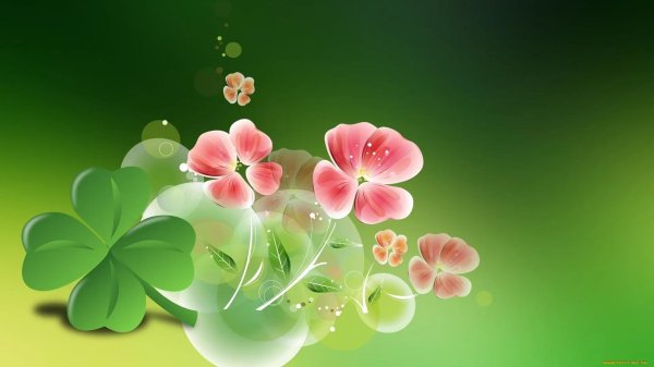 четверолистник клевер