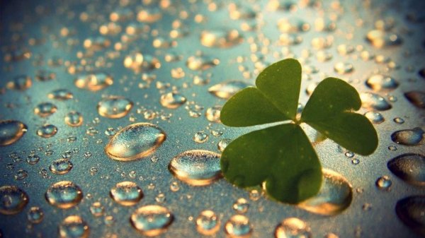 красивая удача