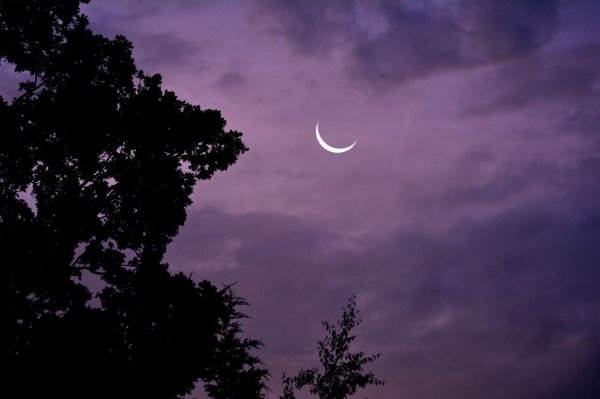 небо с луной