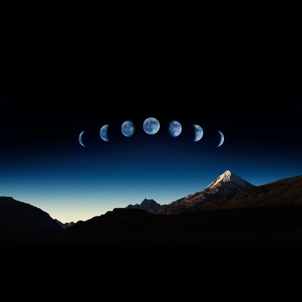 лунные сутки