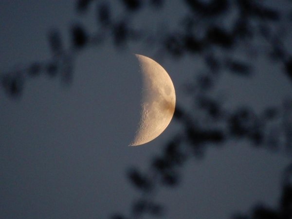 молодая луна