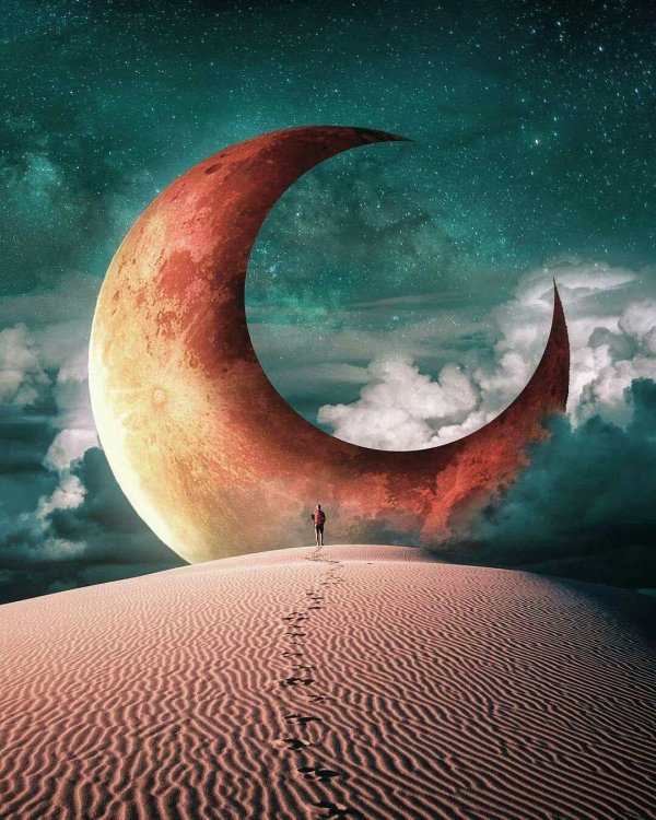 сон сюрреализм