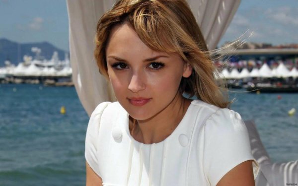 рэйчел ли кук