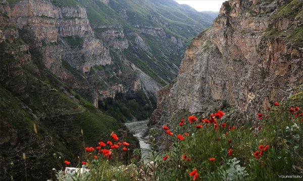 гимринский каньон дагестана