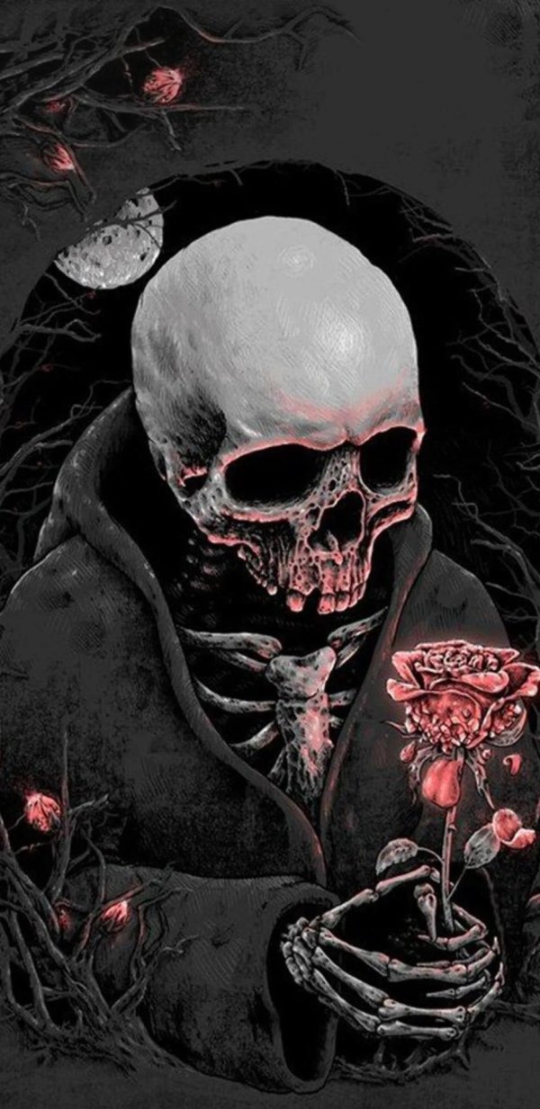 скелет арты