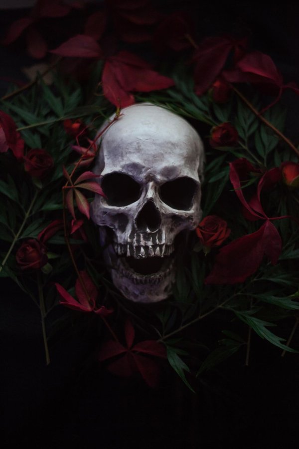 скелет с цветами