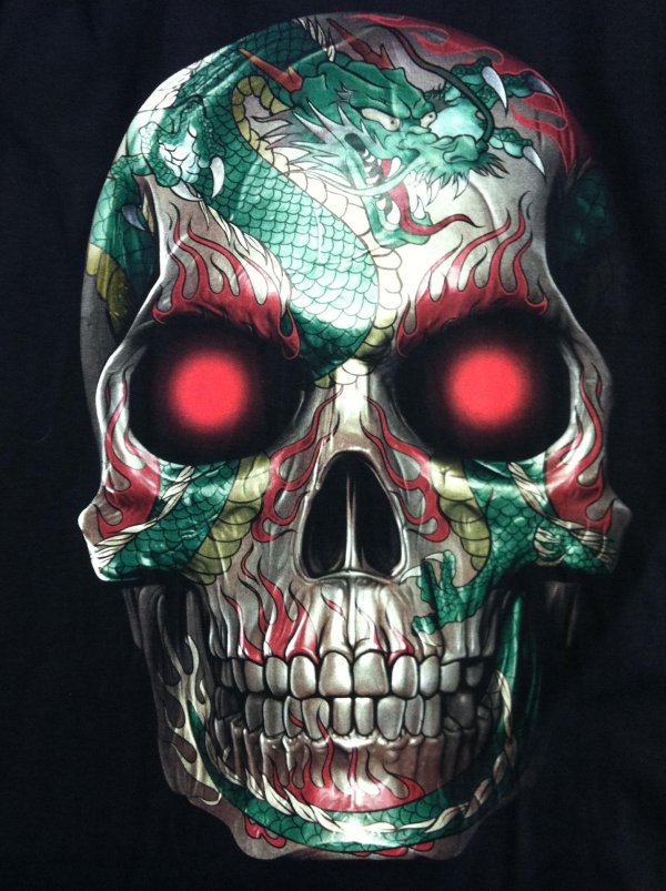 красивые черепа