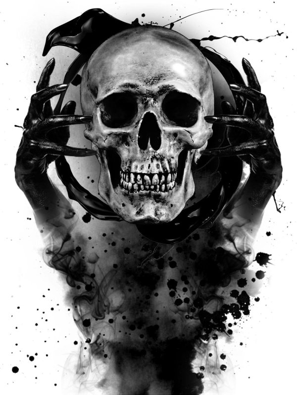 черепа арт