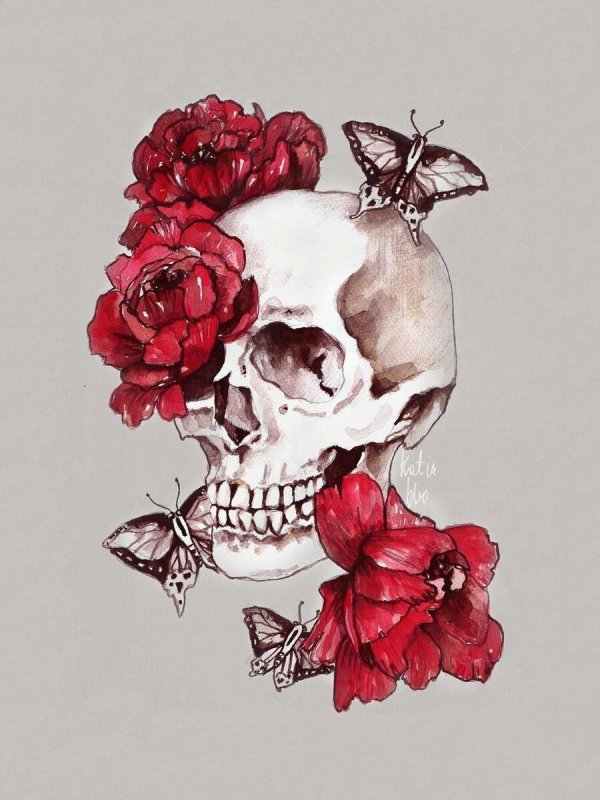 черепа эскиз