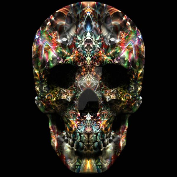 черепа арт