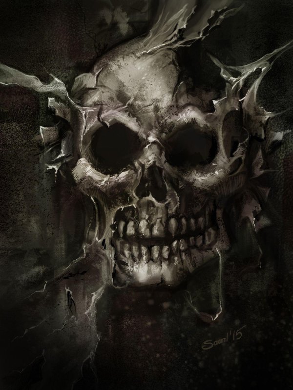 черепа арт