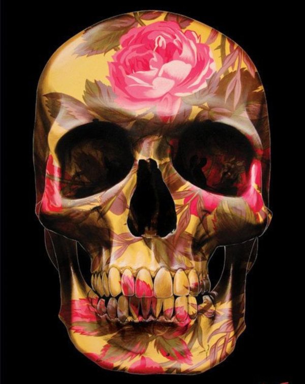 черепа арт