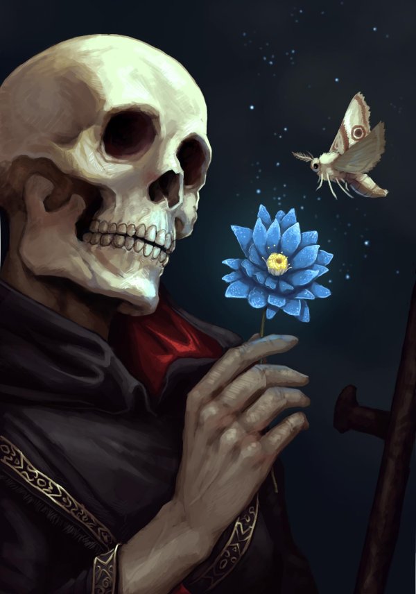 черепа людей